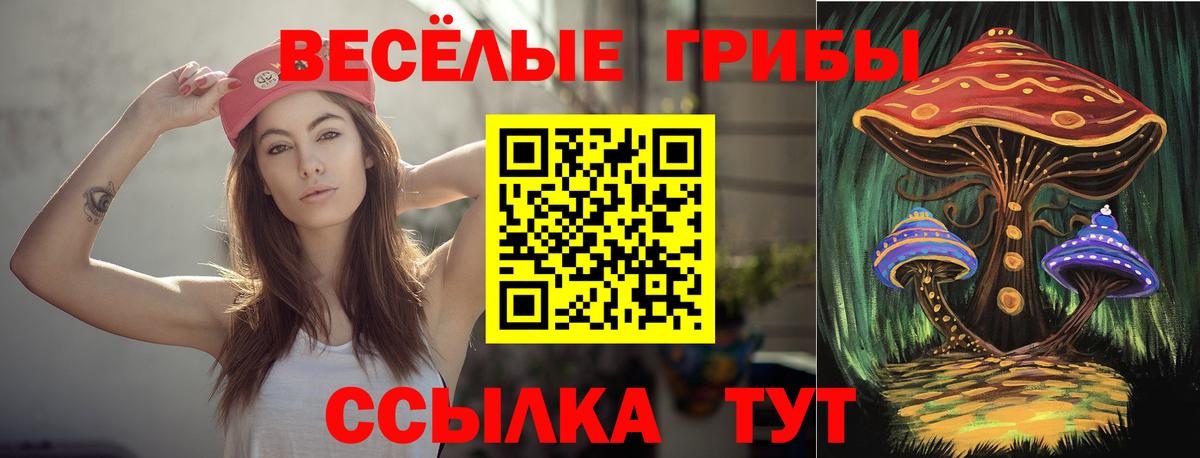 Соль-Илецк  Галлюциногенные грибы Cubensis  Вход с VPN  Галлюциногенные грибы мухоморы 